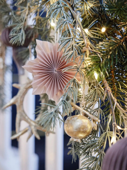 Weihnachtsanhänger Palisia puderrosa