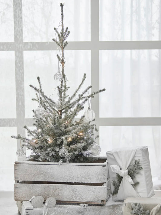 Weihnachtskugel Cadelia transparent/silber 8cm