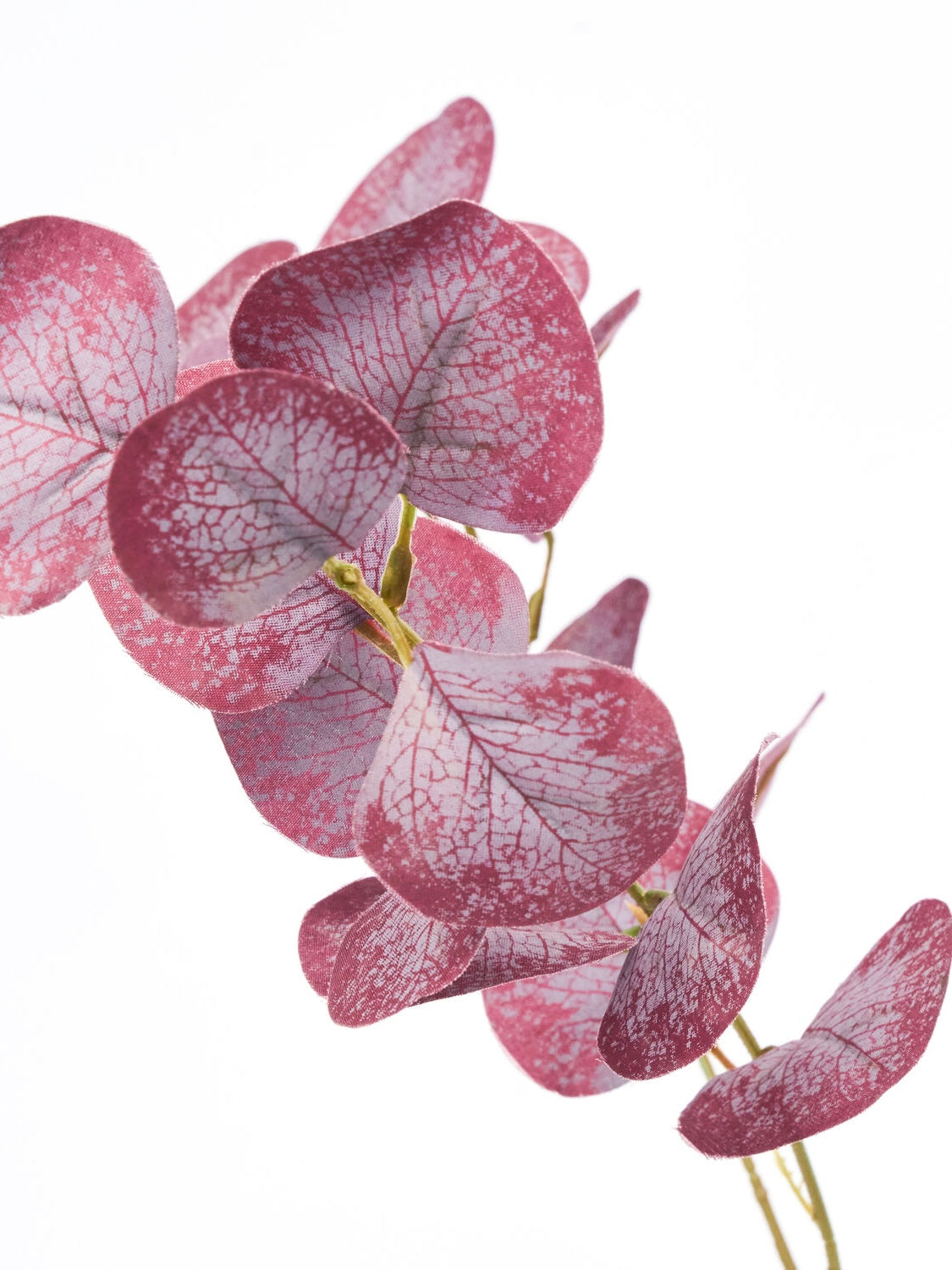 Kunstblume HDEucalyptus bordeaux