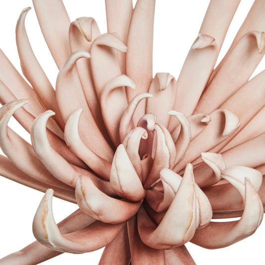 Kunstblume Happia 6047 altrosé