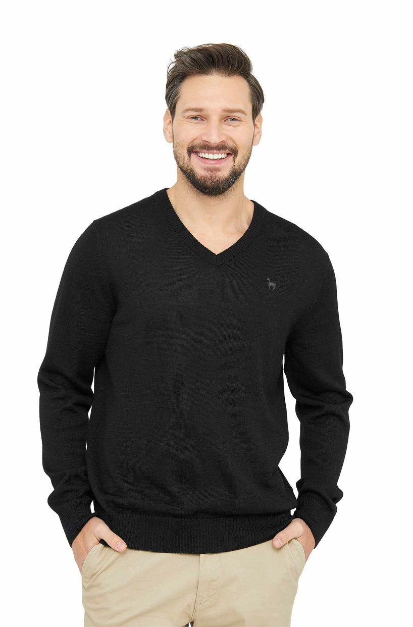 Apu Kuntur - Edler Herren-Pullover aus 100% Baby Alpaka