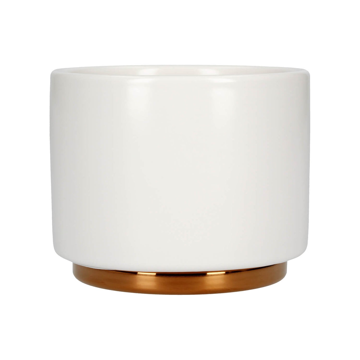 Fellow Monty Cup Collection