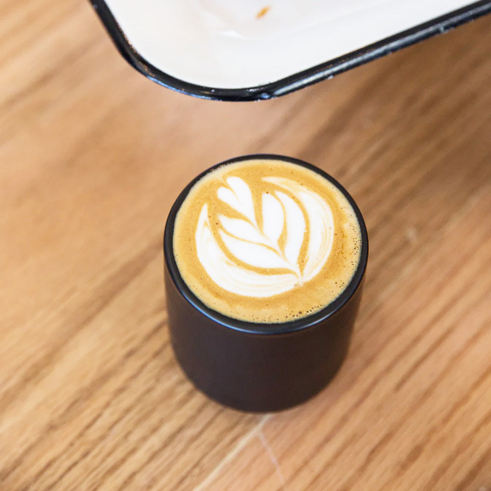 Fellow Monty Cup Collection