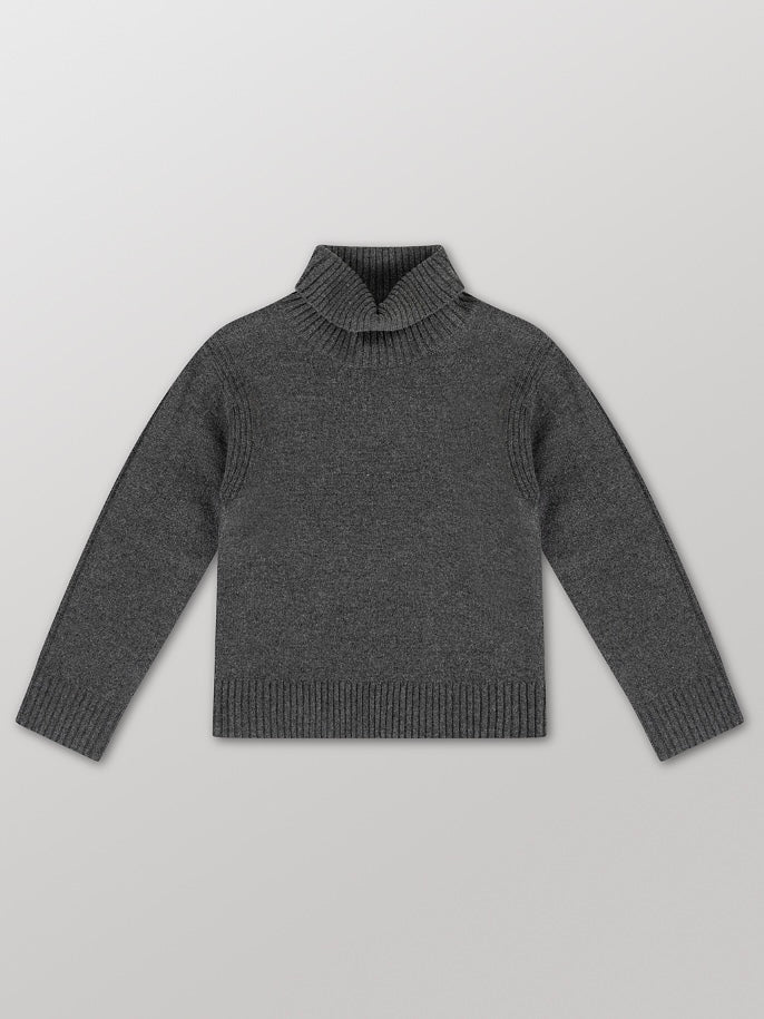 Rollkragenpullover Alfonso, in 2 Farben