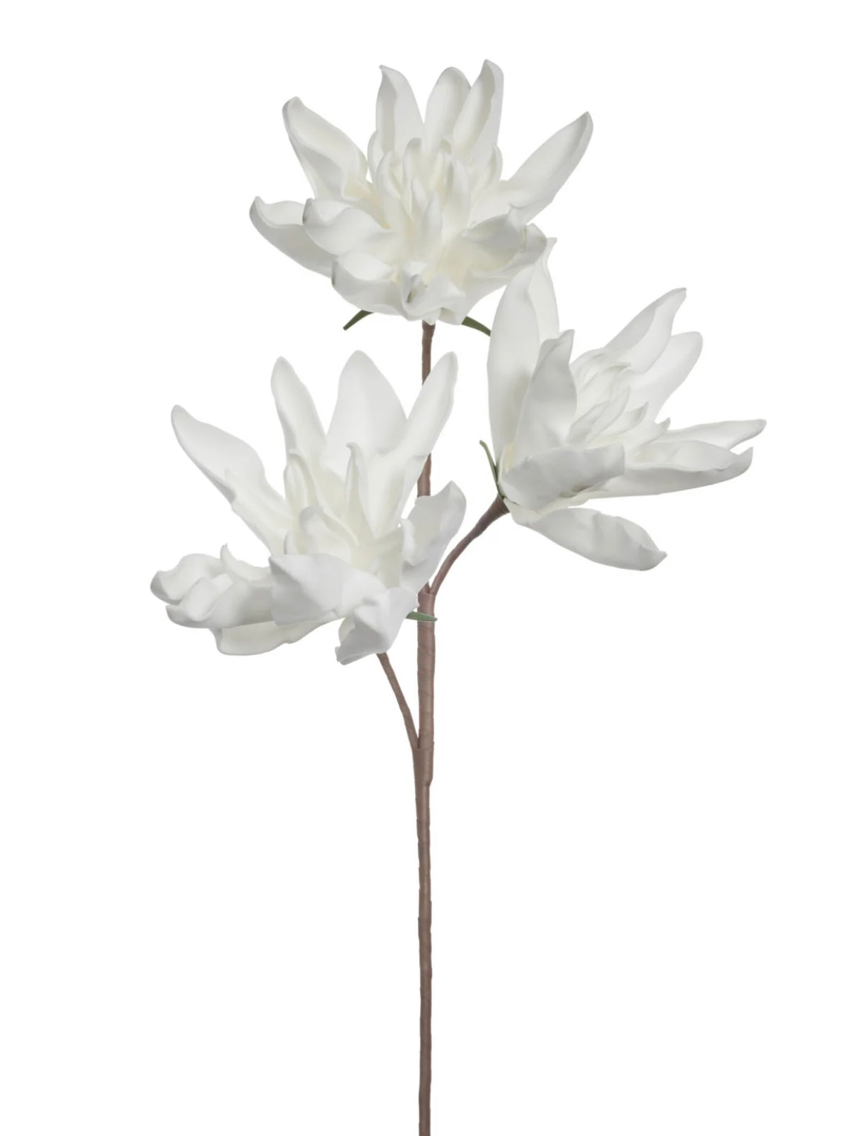 schaum Blume Happia von Lene Bjerre auf