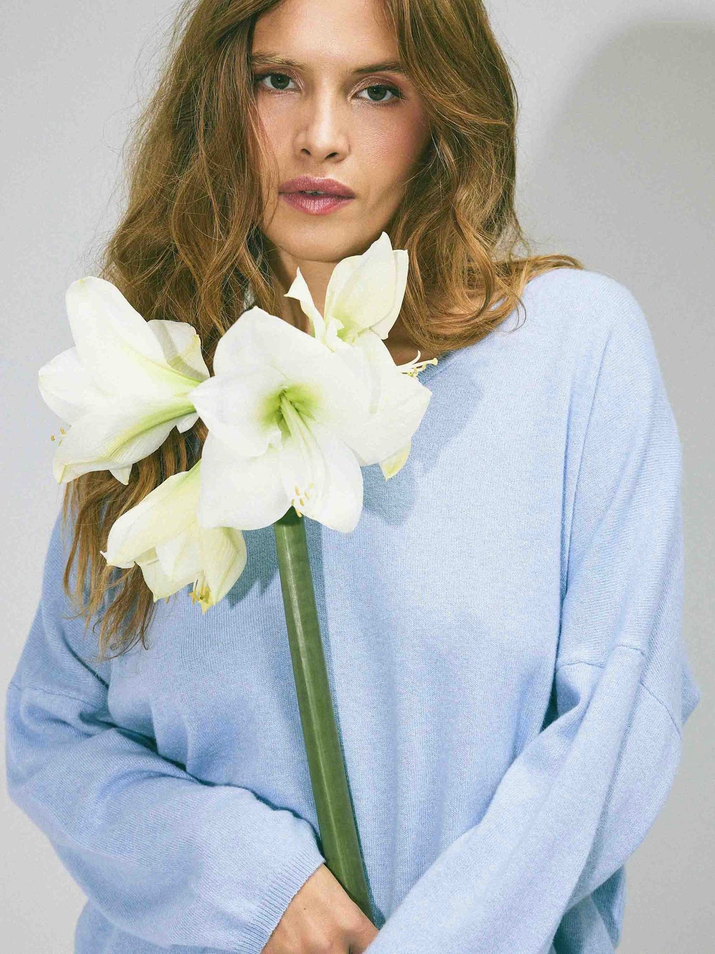 Pullover Jacey TT, in mehreren Farben