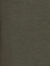 Shirt SC-Banu 261, in mehreren Farben