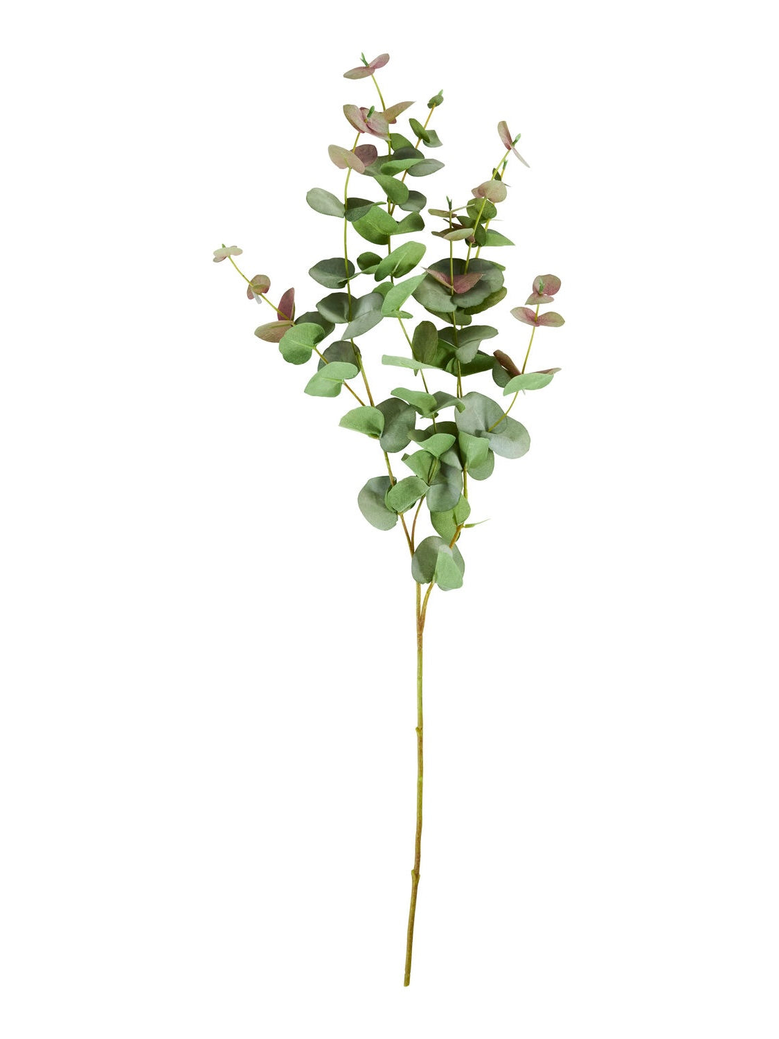 Kunstblume HDEucalyptus green