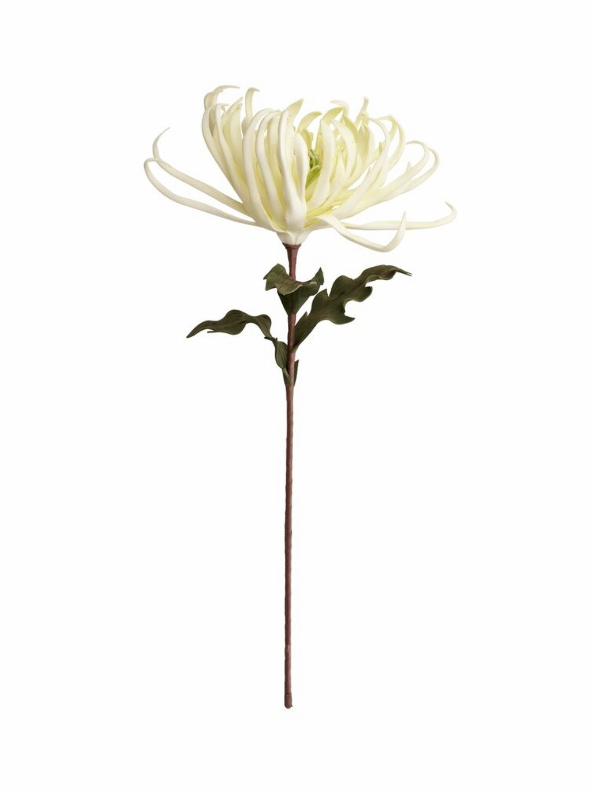 Kunstblume Happia 7862 ecru