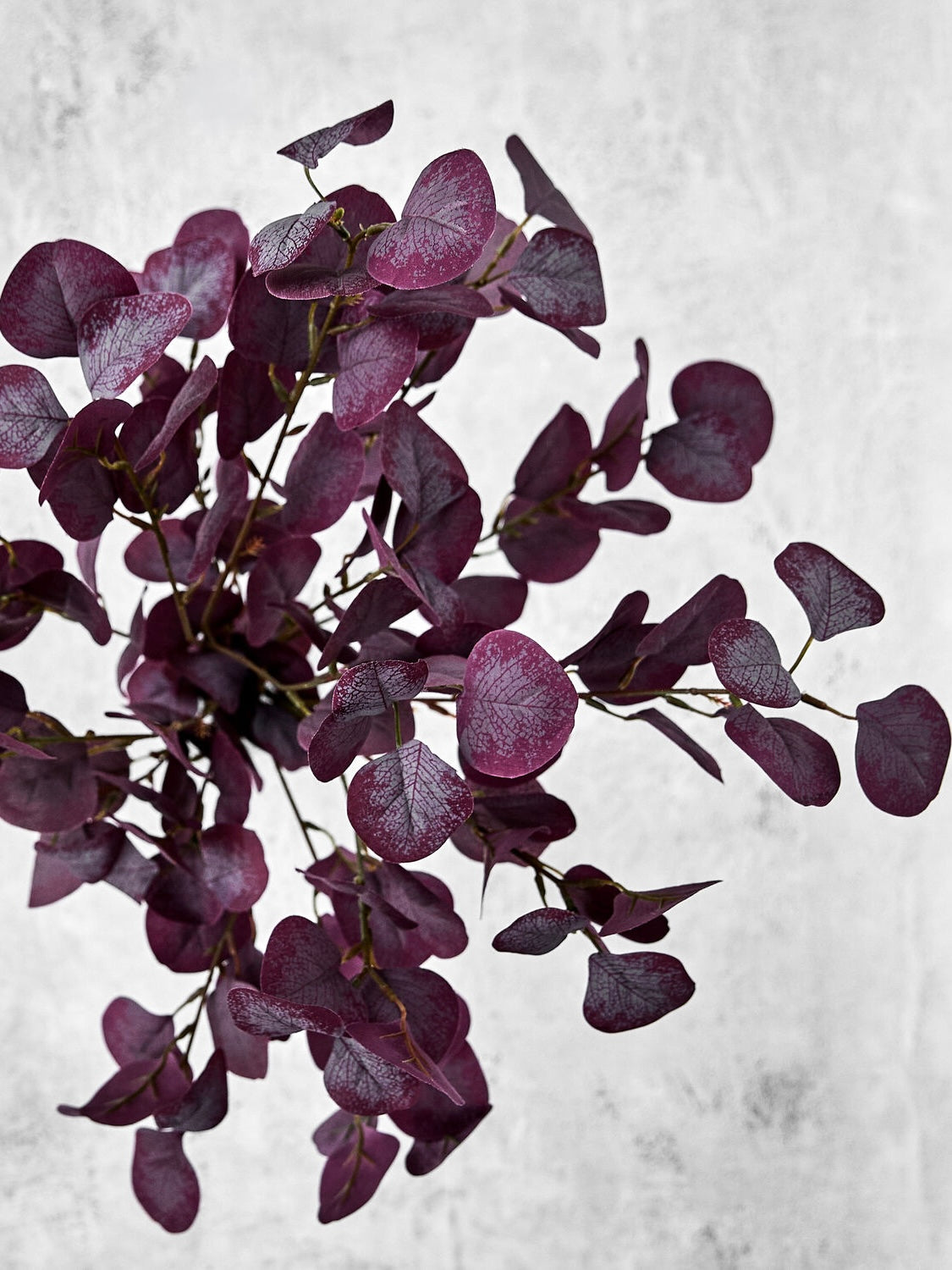 Kunstblume HDEucalyptus bordeaux