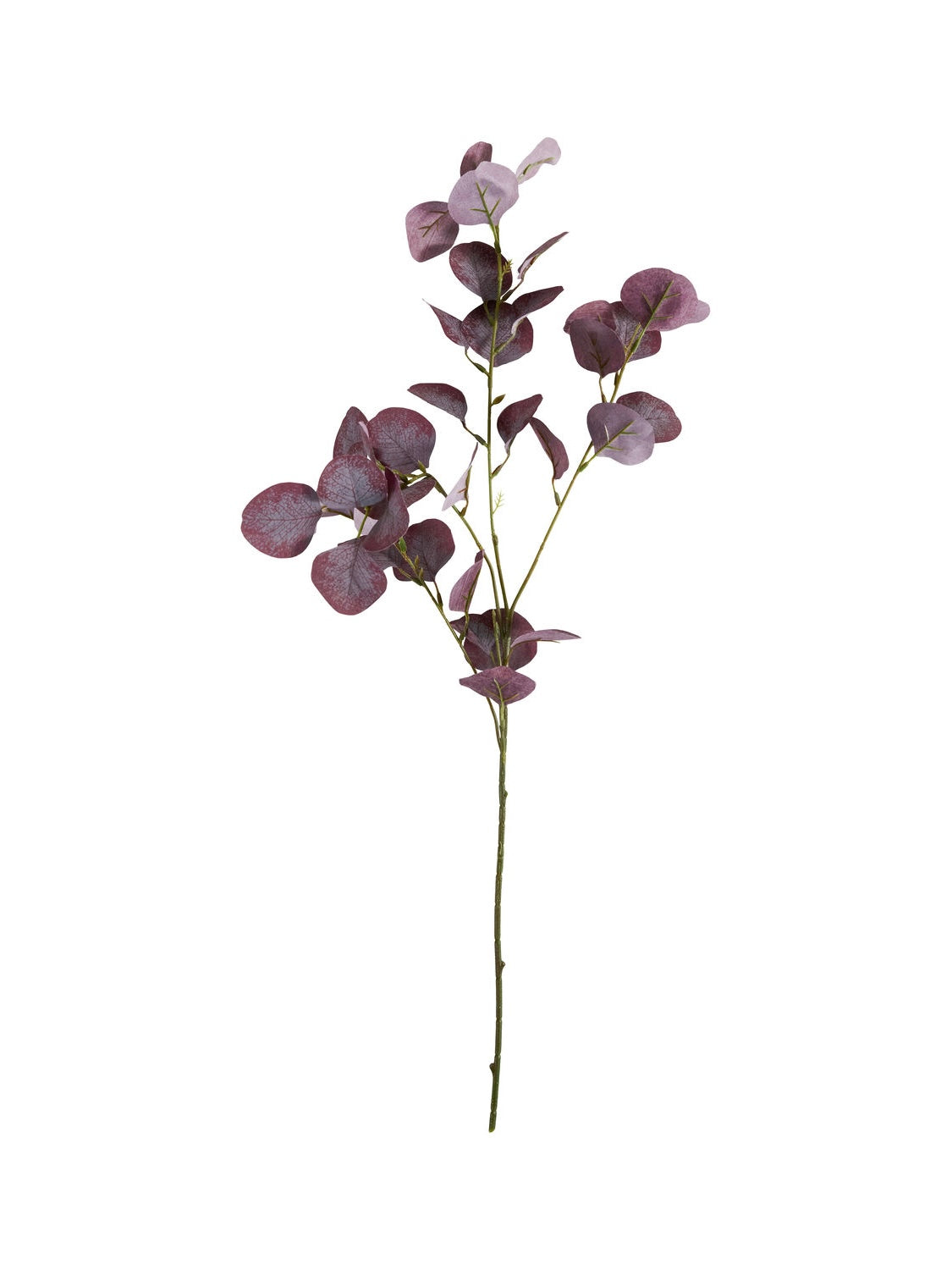 Kunstblume HDEucalyptus bordeaux