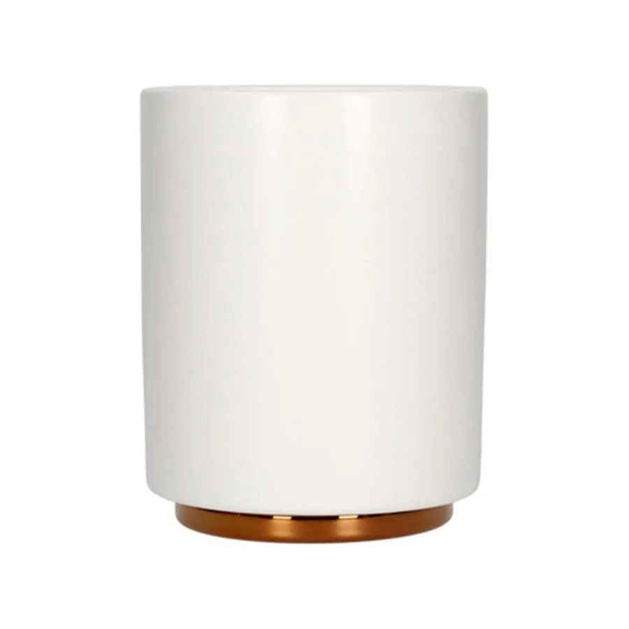 Fellow Monty Cup Collection