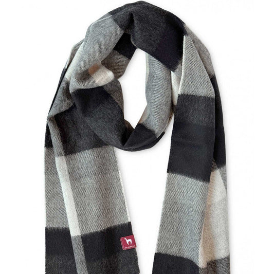 Apu Kuntur - Webschal - Cuadro