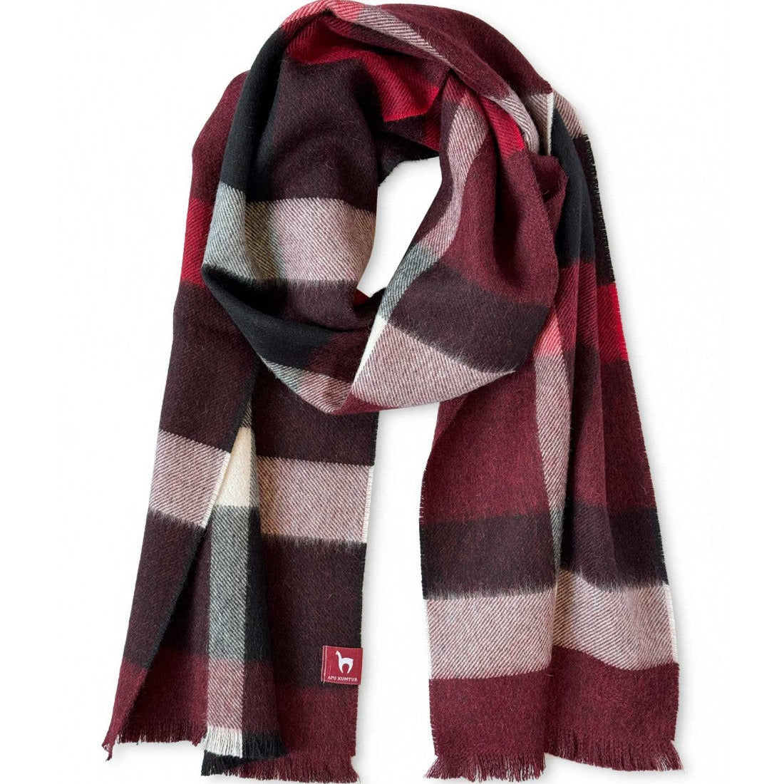 Apu Kuntur - Webschal - Cuadro