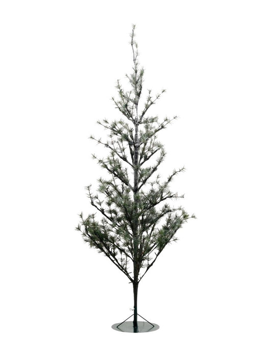 Weihnachtsbaum natur