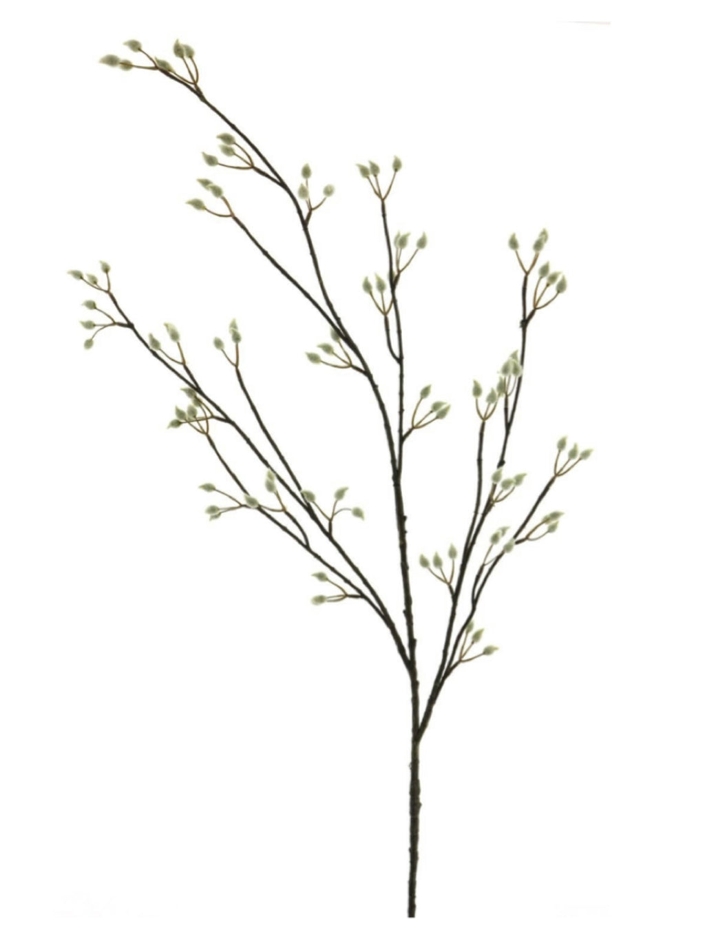 Künstlicher Weidenkätzchenzweig NAYONG 120cm von TFH home auf