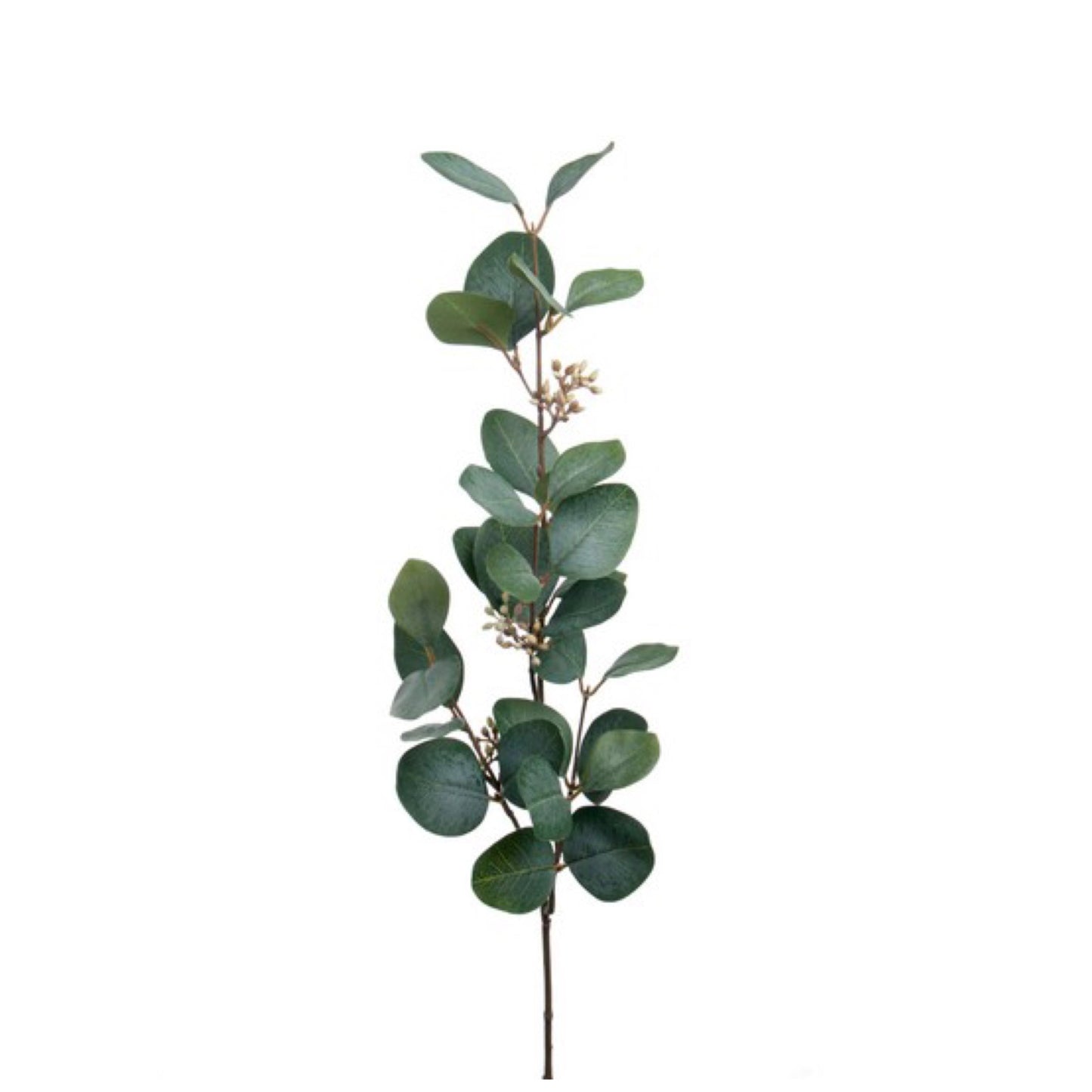 Kunstzweig Eucalyptus grün 70cm