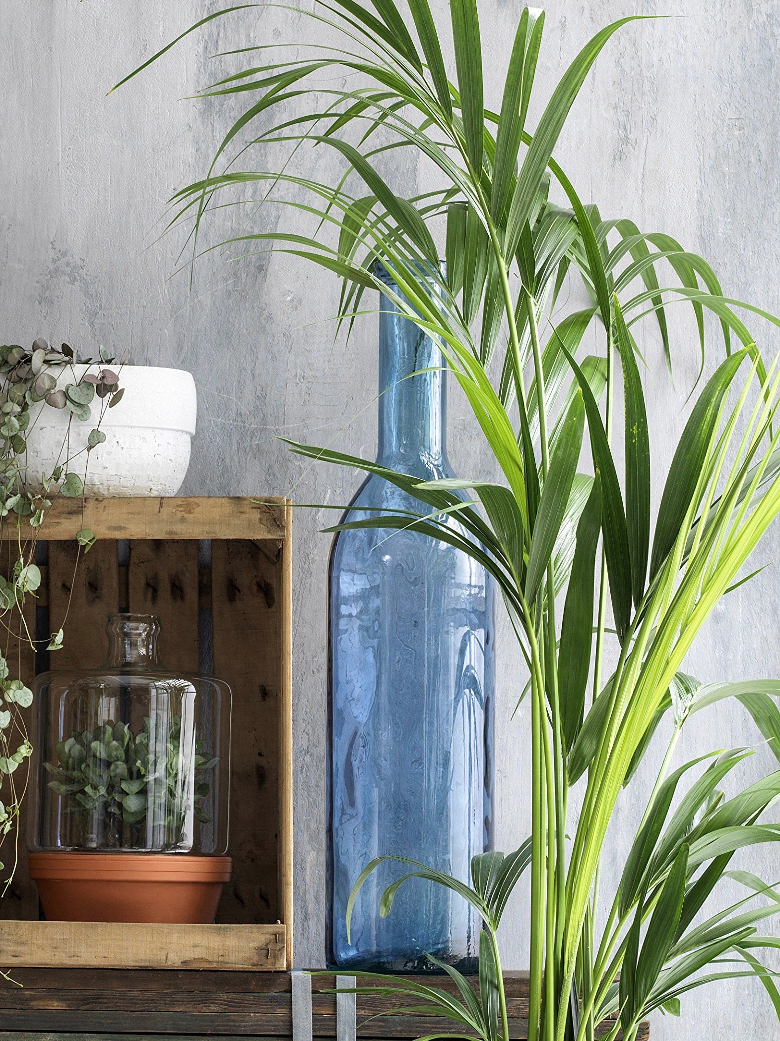 Glasvase dunkelblau 100cm von TFH home auf