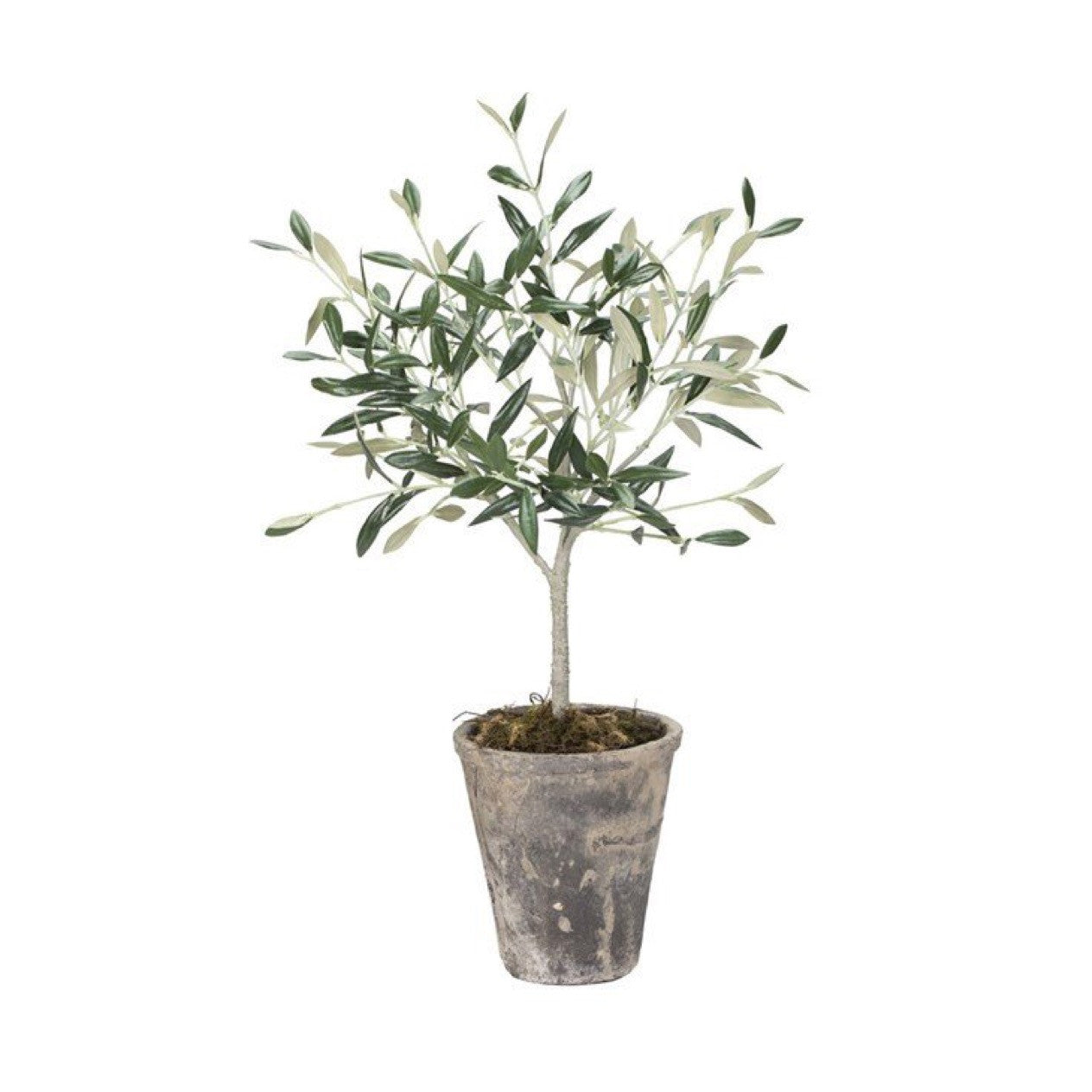 Kunstblumengewächs Olivenbaum, in 2 Größen