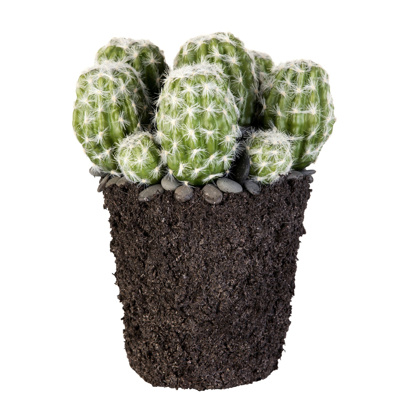 Kunstblumengewächs Kaktus, in 2 Größen